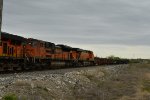 BNSF 9356 Roster shot